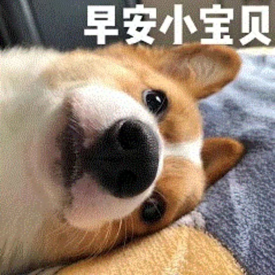 小宝贝网创分享-xiaobaobeituandui