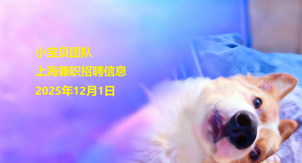 上海兼职信息2025年12月1日-小宝贝团队-小宝贝网创分享